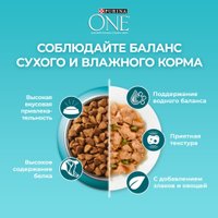 Сухой корм для кошек Purina ONE для домашних с курицей 750 г в Бресте