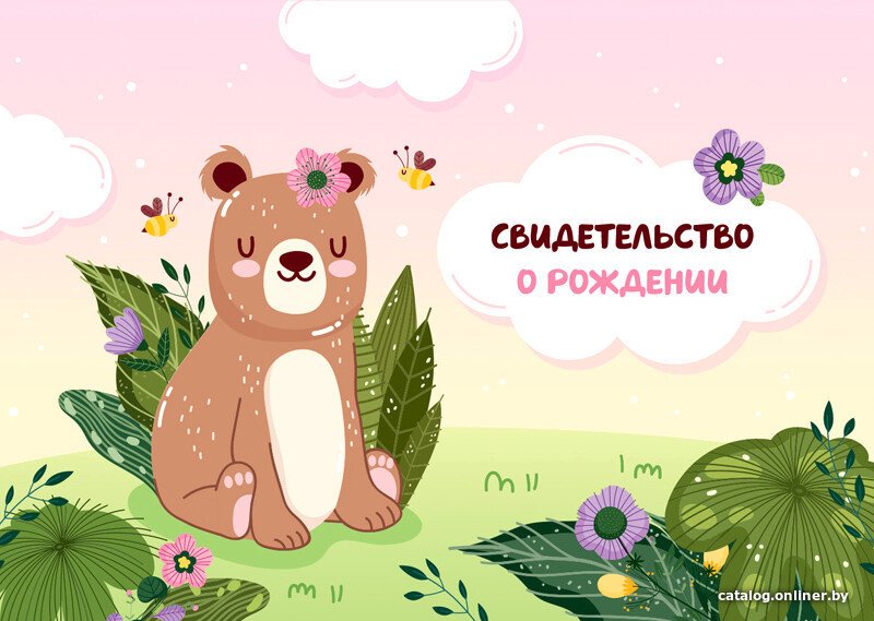 Папка адресная OfficeSpace Свидетельство о рождении. Медвежонок. Для девочек 344967