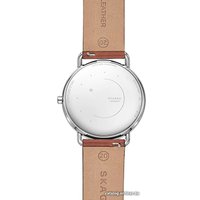 Наручные часы Skagen SKW6487