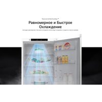 Холодильник LG DoorCooling+ GC-B509MQWM