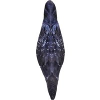 Декоративная подушка Мальвина Голубь Злодей 3.16.3