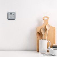 Термогигрометр Miaomiaoce Zenmeasure Bluetooth Hygrometer Thermometer MHO-C401
