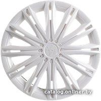 Набор колпаков на диски АКС – авто Скай 13 58581 (белый)