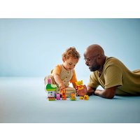 Конструктор LEGO Duplo Disney День Рождения 10457