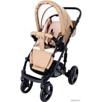 Универсальная коляска Ray Corsa Ecco (2 в 1, 22)