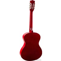 Акустическая гитара Terris TC-3805A NA