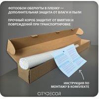 Флизелиновые обои Citydecor Princess 31 (400x260см)