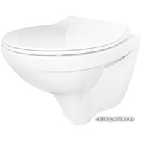 Унитаз подвесной Керамин Санти R (сиденье дюропласт с микролифтом Арктик Slim ЖС)