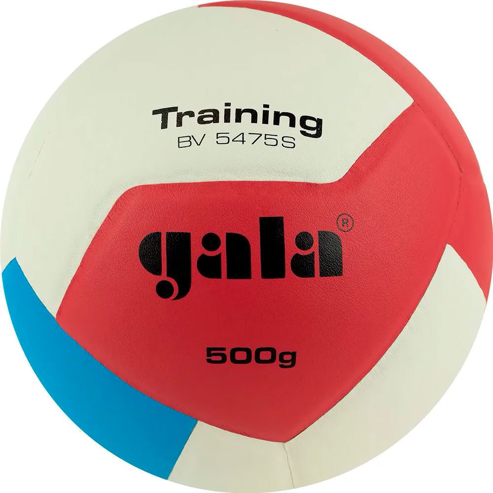 

Волейбольный мяч Gala Training Heavy 12 BV 5475 S (размер 5, белый/синий)