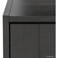 Шкаф распашной Ikea Раккестад 504.537.58 (черный)