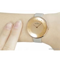 Наручные часы Skagen SKW2139