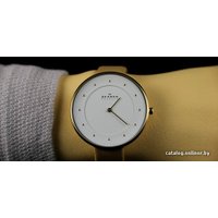 Наручные часы Skagen SKW2137 в Пинске