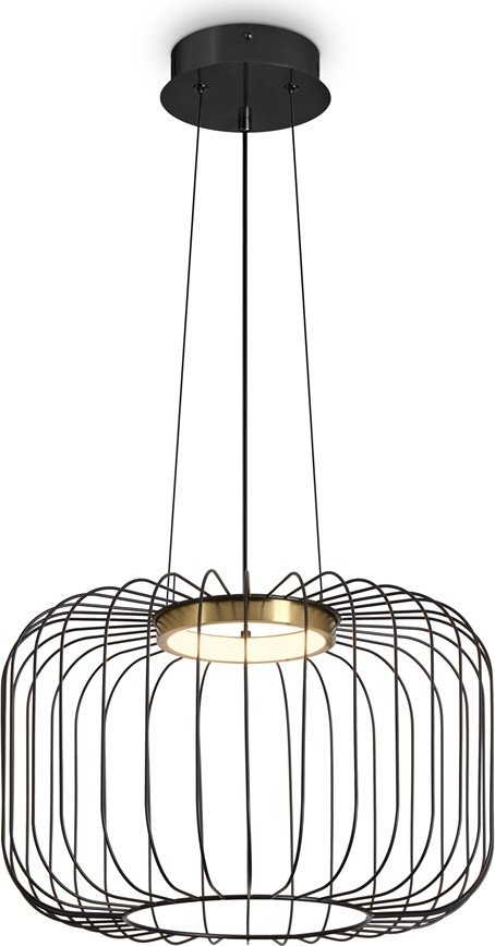 

Подвесная люстра Freya Citrus FR5398PL-L8B