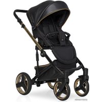 Универсальная коляска Riko Ozon Premium (3 в 1, 34 gold black)