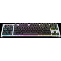 Клавиатура A4Tech Bloody B845R