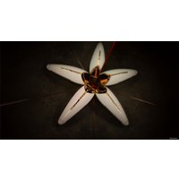 Многофункциональный прибор BORK D688