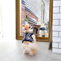 Шлейка-жилетка Pinkaholic Joceline NARD-HJ7363-NY-S (синий)