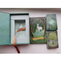 Карты Таро Эксмо. Таро Зачарованного леса (78 карт и руководство по работе с колодой в подарочном оформлении) (Везерстоун Лунаэ)