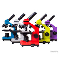 Детский микроскоп Levenhuk Rainbow 2L Plus (лайм) 69044 в Мозыре