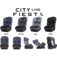 Детское автокресло Rant Fiesta City line 1029A (черный)