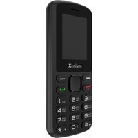 Телефон Xenium X170 (черный)