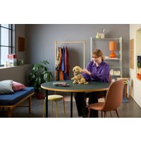 Конструктор LEGO Icons 11384 Щенок золотистого ретривера