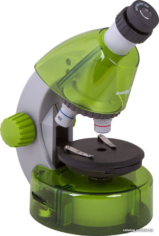 Детский микроскоп Levenhuk LabZZ M101 (лайм) 69034