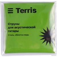 Акустическая гитара Terris TD-045 SB Starter Pack