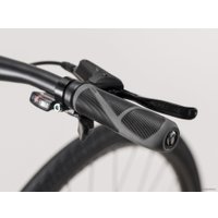 Велосипед Trek FX 2 Disc Women's Stagger L 2020 (бирюзовый)