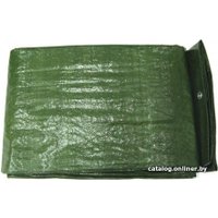 Тент TRAMP Тент 6x8 м TLTP-005