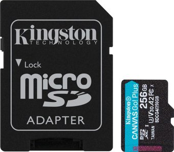 Kingston Canvas Go! microSDXC 256GB SDCG4/256GB (с адаптером)