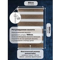 Шторы день-ночь Sundays Home ДН LB 134-08 85х160 (медный)