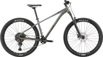 Silverback SE:Series 10 29 L 2025 (глянцевый радужный жемчуг/чёрный матовый)