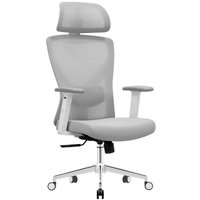 Офисное кресло Evolution ErgoLine 2 (серый)