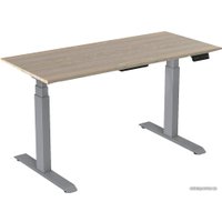 Стол для работы стоя WellDesk с электроприводом Bosch двухмоторный 28мм (ясень шимо, серый)