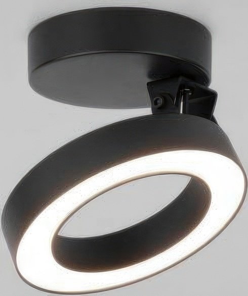 

Спот Elektrostandard Spila 25105/LED (черный)