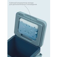 Термобокс Арктика 2200-26-BL 26л (синий)