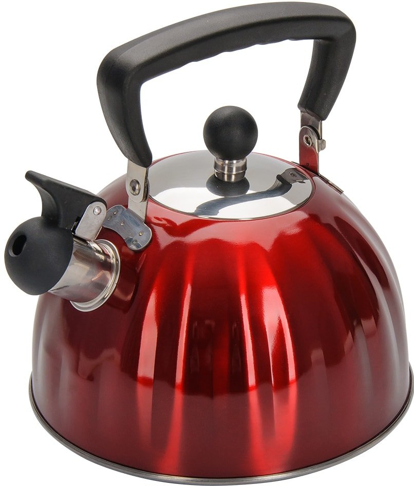 

Чайник со свистком Regent Inox Promo 94-1506