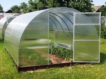 Теплица ШелБелПром Солнечная Стандарт 12 м