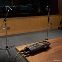 Диктофон Sony PCM-D10