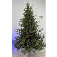 Ель GreenTerra Норвегия (2.5м)