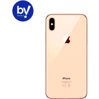 Телефон Apple iPhone XS 64GB Восстановленный by Breezy, грейд B (золотой)