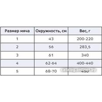 Футбольный мяч Demix 0CIMH8PYVS (5 размер, белый)
