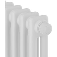 Стальной трубчатый радиатор Royal Thermo Insignia VC2180 - 08 секций RAL9016