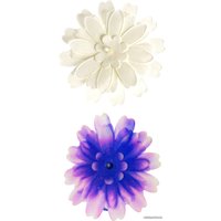 Набор для опытов Bondibon Японские опыты. Науки с Буки. Магические цветы ВВ5324