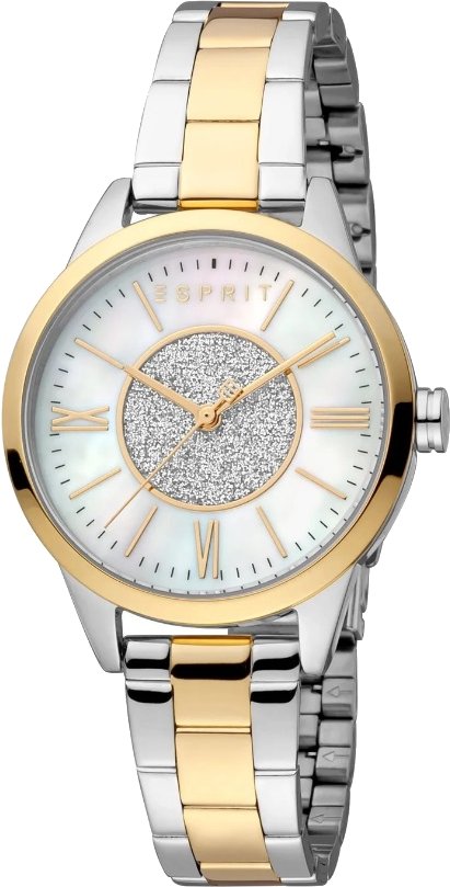 

Наручные часы Esprit ES1L385M0115