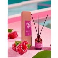 Аромадиффузор Solex Малина (50 мл) в Витебске