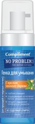 Пенка для умывания No Problem 160 мл