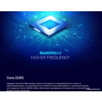 Оперативная память Silicon-Power 32ГБ DDR5 5200 МГц SP032GBLVU520F02