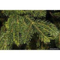 Ель National Tree Company Таежная ТЖ-210 210 см